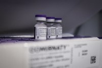 Brasil recebe cerca de 529 mil doses de vacina Covid-19 da Pfizer