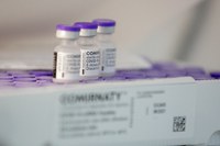 Brasil recebe mais 527 mil doses de vacina Covid-19 da Pfizer