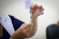 Confira as últimas entregas de vacinas Covid-19 em todo o País