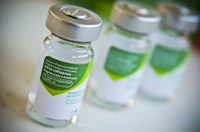 Campanha de vacinação contra a gripe vai até 9 de julho