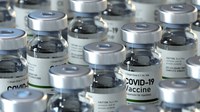 Brasil começa nova distribuição de vacinas
