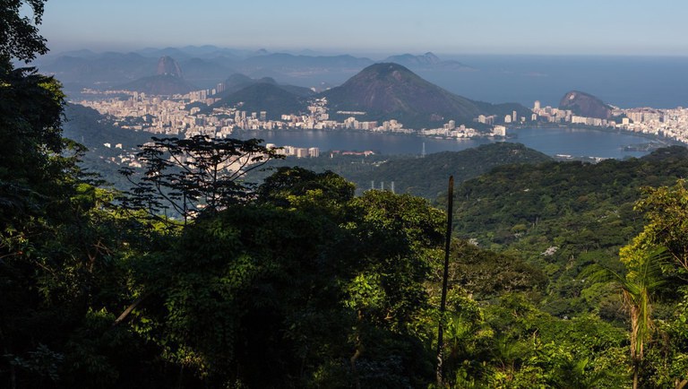 Carteira de identificação digital traz facilidade e comodidade para guias de turismo