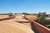 Safra de Grãos 2020/2021 é estimada em 272 milhões de toneladas