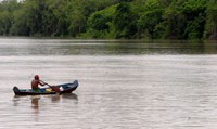 Força-Tarefa em Defesa da Amazônia cobra quase R$ 400 milhões de desmatadores da floresta