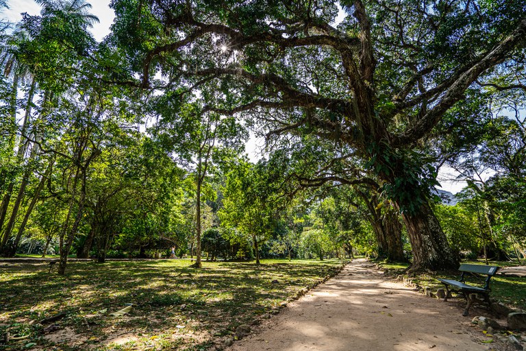 Programa Educa+ oferece cursos sobre o meio ambiente