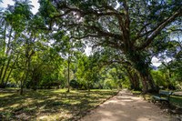 Programa Educa+ oferece cursos sobre o meio ambiente