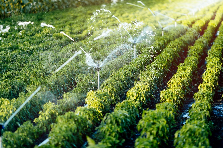 COP26