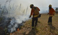 Governo Federal repassa R$ 3,3 milhões para combate a incêndios florestais em Goiás
