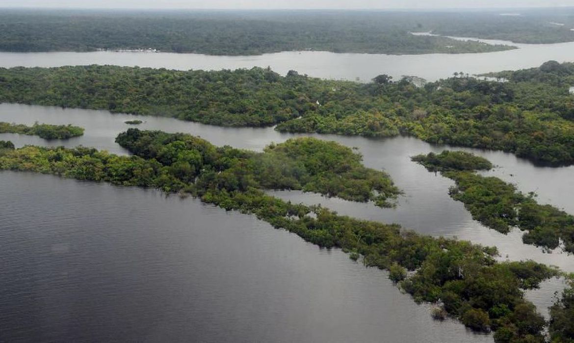 Amazônia O novo normal