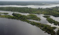 5 de setembro: Dia da Amazônia
