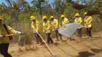Combate a incêndio: primeira brigada indígena feminina é formada no Tocantins