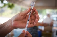 Confira os últimos números de recebimento de vacinas contra a Covid-19