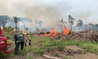 Guardiões do Bioma: mais de 8,2 mil incêndios combatidos em quase dois meses