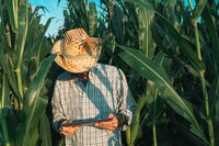 Lançado guia virtual que orienta produtores sobre o funcionamento do seguro rural