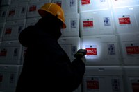 Mais de 265 milhões de vacinas Covid-19 distribuídas para todos os estados