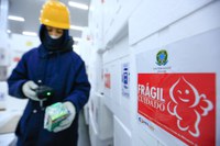 Mais de 5,3 milhões de doses de vacinas Covid-19 distribuídas para todo o Brasil