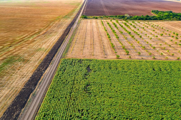 Contratações do crédito rural aumentam 25% e já somam R$ 209 bilhões