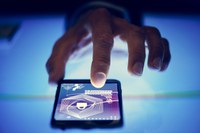 Decreto assegura a preservação da intimidade e respeito aos dados pessoais