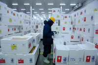 Enviadas mais 3,2 milhões de vacinas Covid-19 destinadas à segunda dose