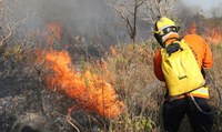 Segunda edição da Operação Guardiões do Bioma é lançada com foco no combate a queimadas e incêndios florestais