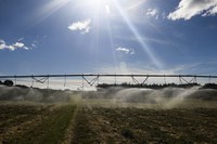 Investidos R$ 40 milhões em projetos de soluções tecnológicas no setor agropecuário