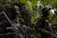 Governo Federal fecha novembro com mais de 3 mil operações contra o garimpo ilegal na Terra Indígena Yanomami