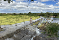 Águas do Velho Chico chegam ao sertão potiguar e renovam sonhos e esperanças