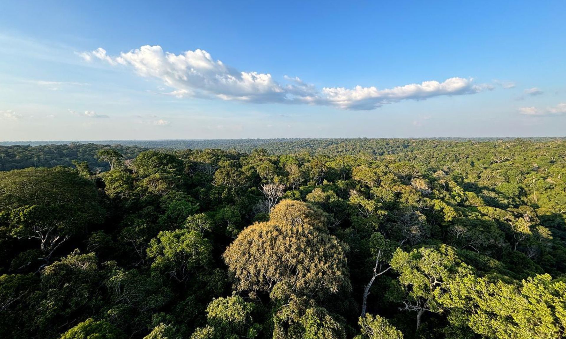 Roteiro para a implementação do compromisso climático internacional do Brasil, plano foi validado pelos ministérios após dois anos de articulação intersetorial