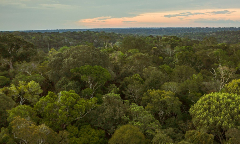 amazonia _ag brasil.jpg