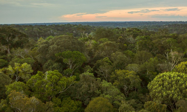 amazonia _ag brasil.jpg