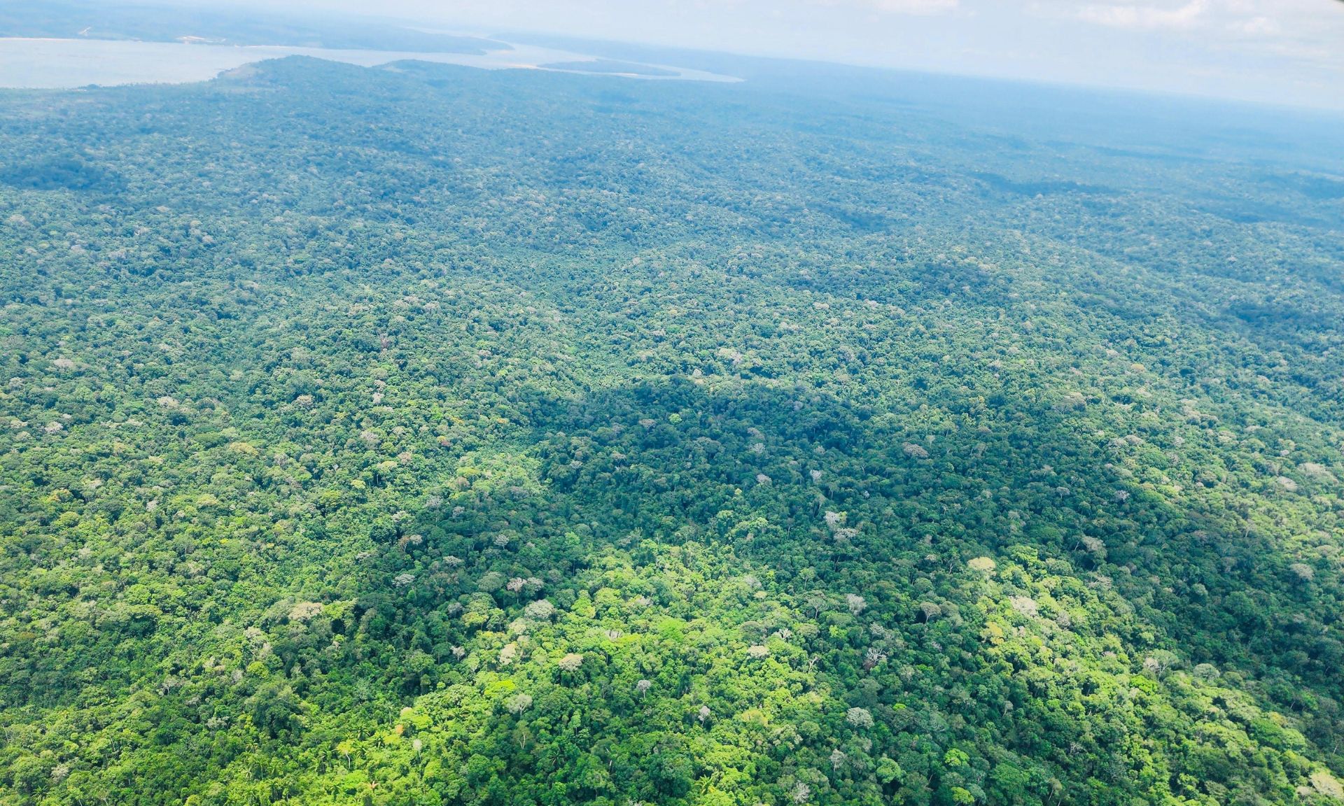Balanço revela que operações em 9 territórios indígenas desde 2023 retiraram invasores e garantiram proteção a mais de 58 mil indígenas; ações de manutenção seguem
