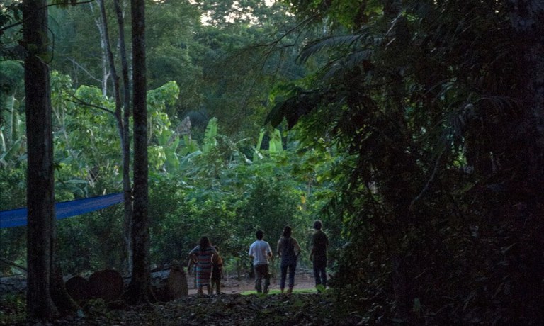 Governo Federal mantém ofensiva contra atividades ilegais em território indígena de Rondônia