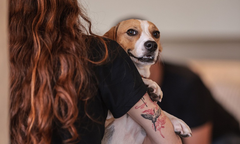 Governo do Brasil sanciona lei que define normas para “guarda compartilhada” de pets