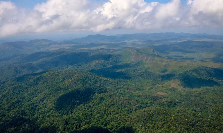 De março de 2024 até o final de janeiro de 2026, houve redução de 98,9% na área de garimpo na TI Yanomami