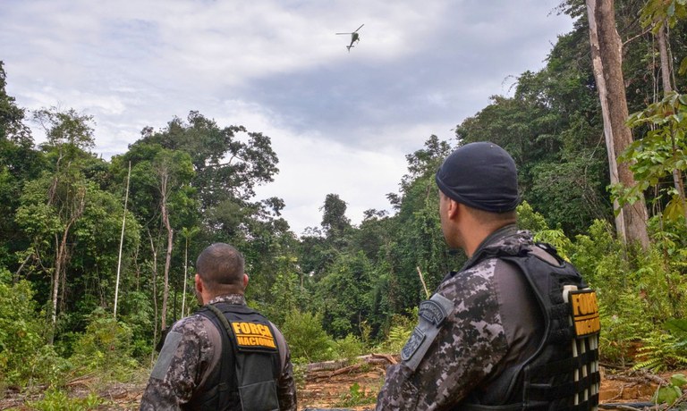 agentes força nacional