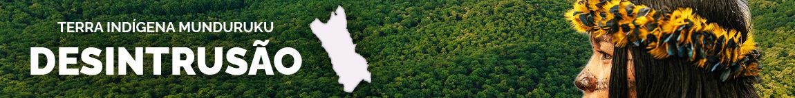 Banner Terra Indígena Munduruku - Desintrusão