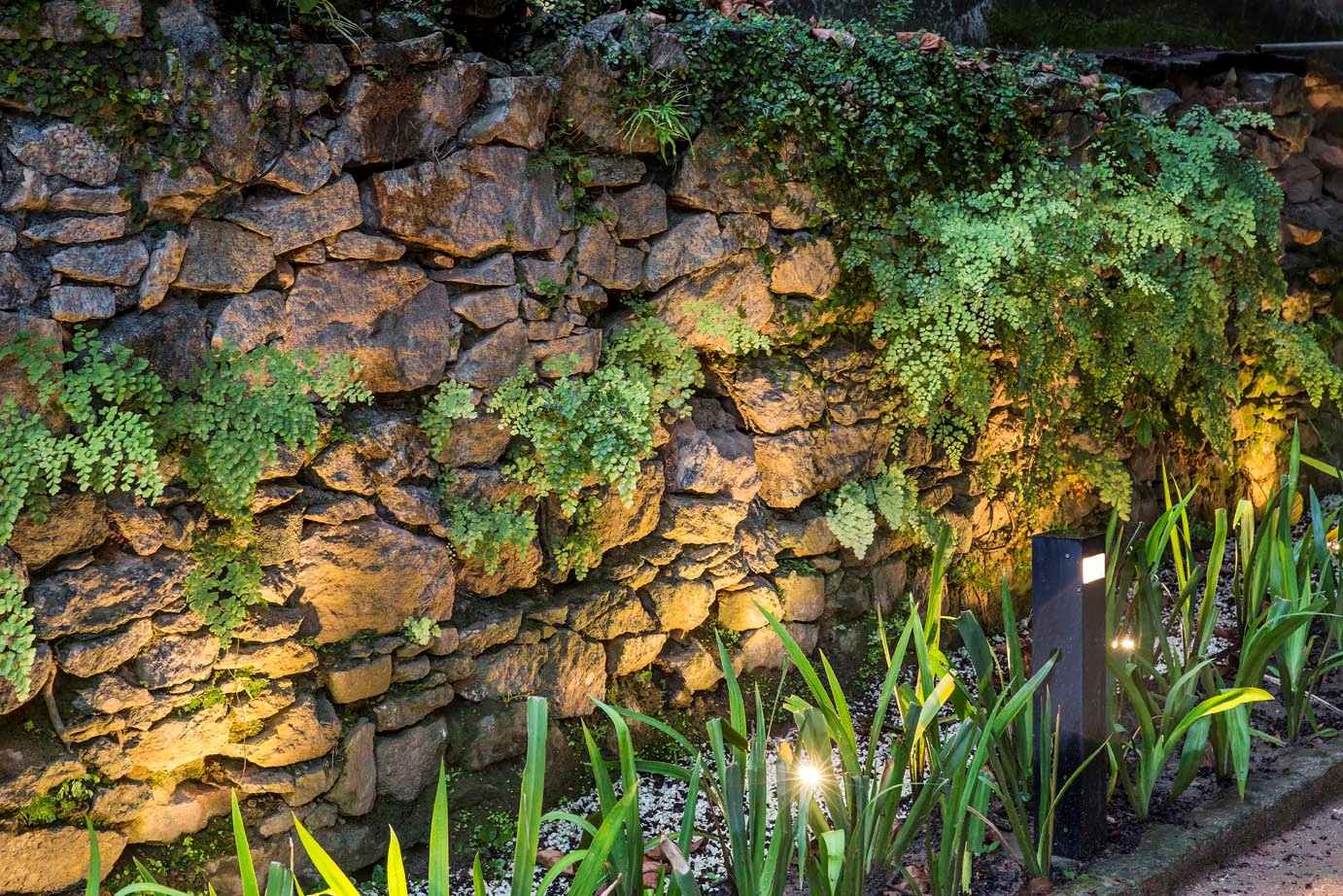 Ervas e forrações.jpg