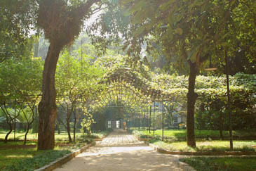 visitaJardim_pergula