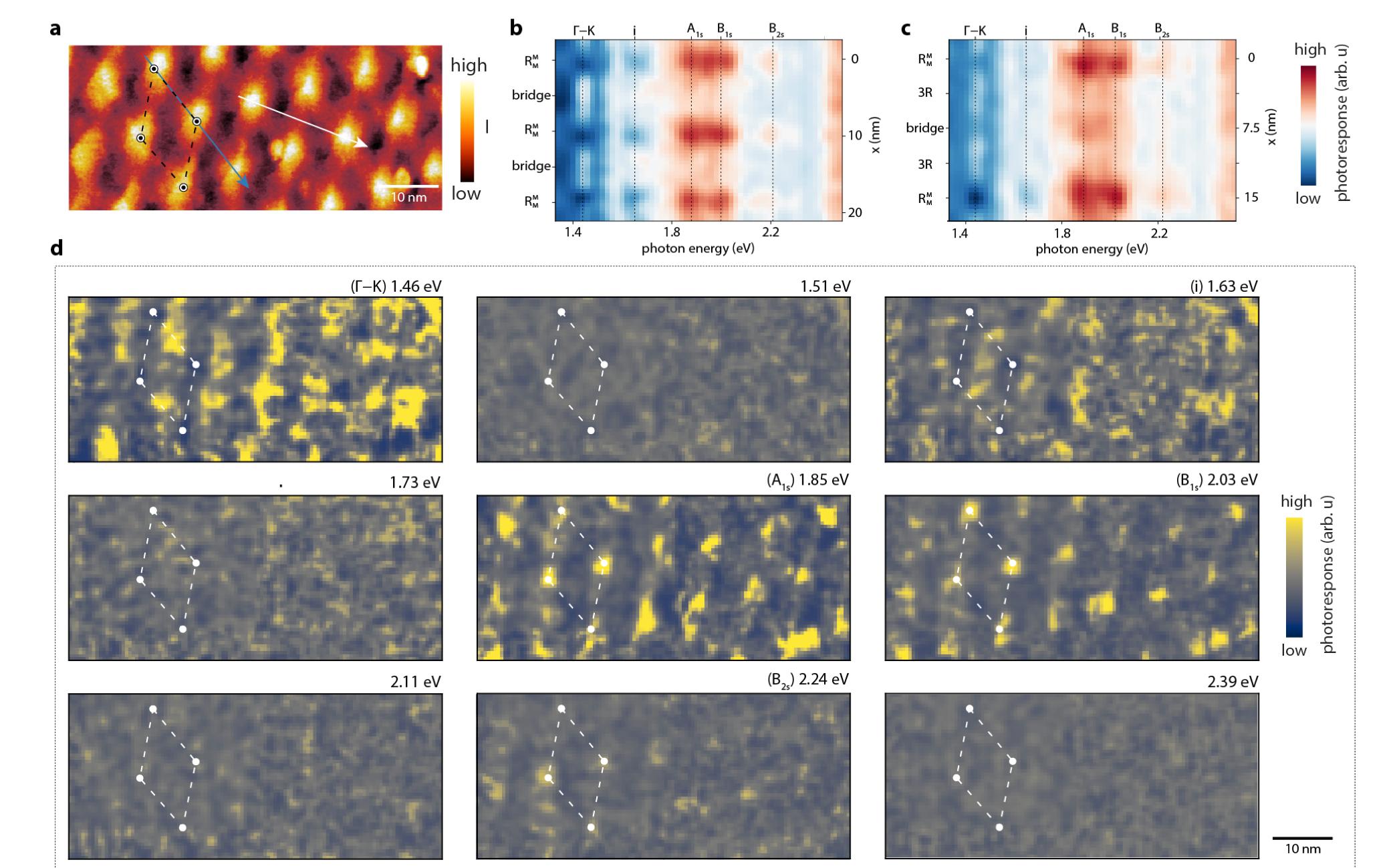 Real-Space Imaging of Moiré-Confined Excitons in Twisted Bilayer MoS