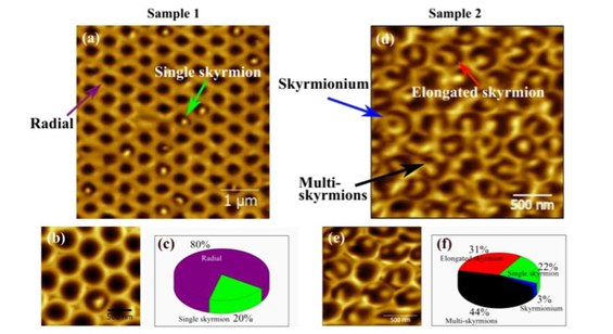 Microscopia de força magnética realizada em condições ambientes mostrando a estabilização das diferentes texturas magnéticas.