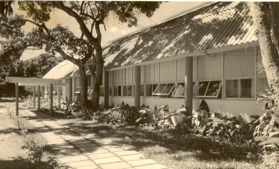 Pavilhão Mário de Almdeida na década de 1950 - Crédito: Arquivo Pessoal