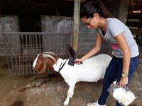Colaboradora do CBPF participa de evento na São Paulo Fashion Week