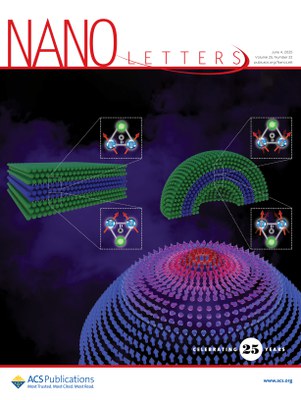 Capa da Revista NanoLetters, volume 25