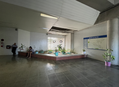 Localização: jardim para adoção