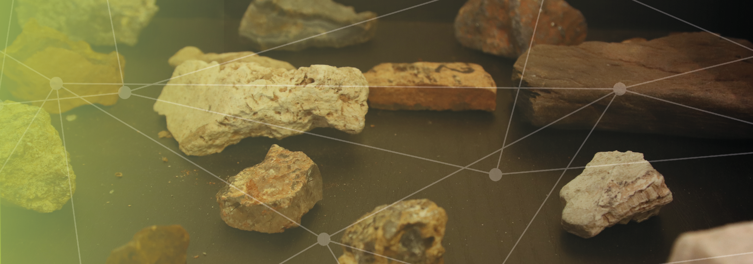 Carrossel 2 - Irradiação gama