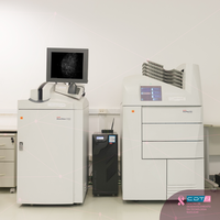 Dia Nacional da Mamografia: entenda mais sobre o exame e seus efeitos nas mulheres