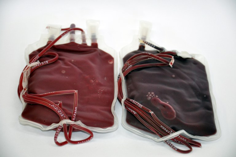 Irradiated blood bags | Photo: Antônio Santiago