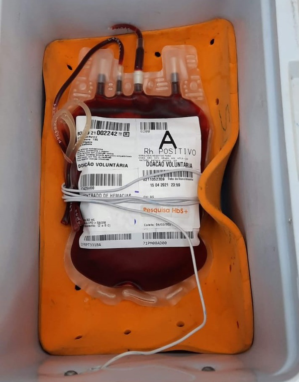 Irradiated blood bags | Photo: Lorrane Cristina