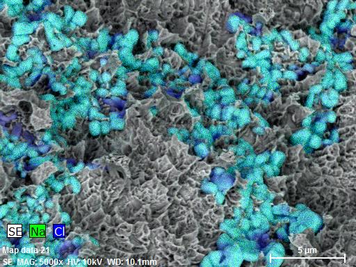 Mapeamento de elementos em imagens de pino de titânio