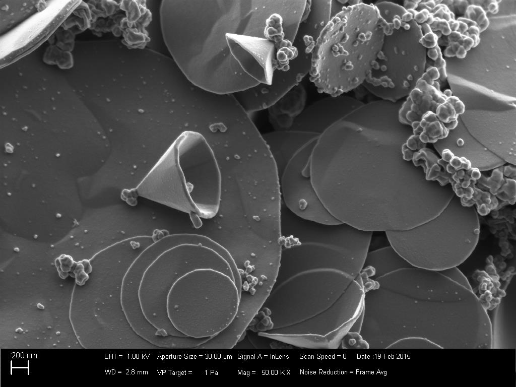 Imagem de nanocones de carbono obtida no MEV-CDTN